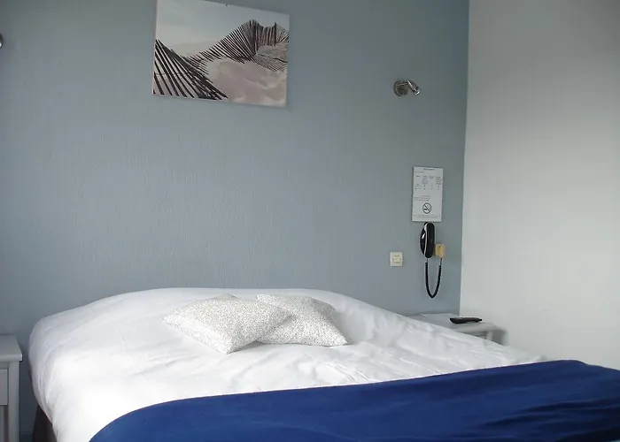 欧罗巴酒店 2* 鲁西永